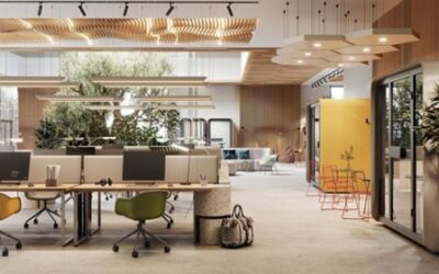 Friendly Office Furniture: A Sustainable Choice