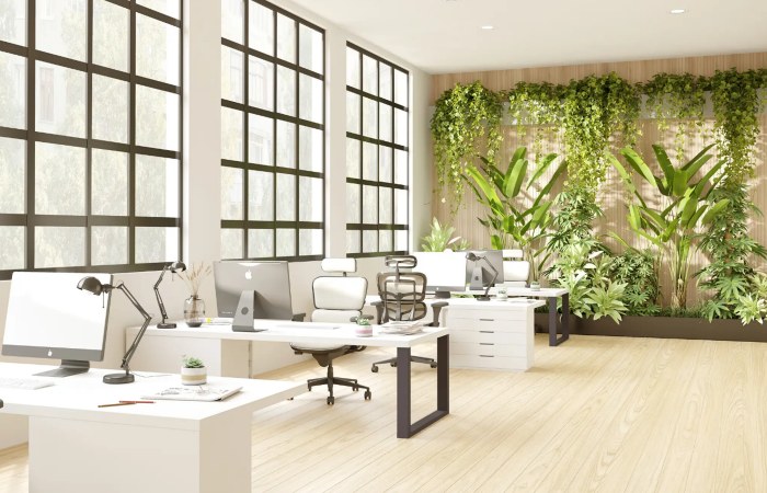 Integrate feng shui at workspace with indoor plants