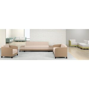 Reception sofa with cushioned seats and wooden arms for sale in Atlanta, GA