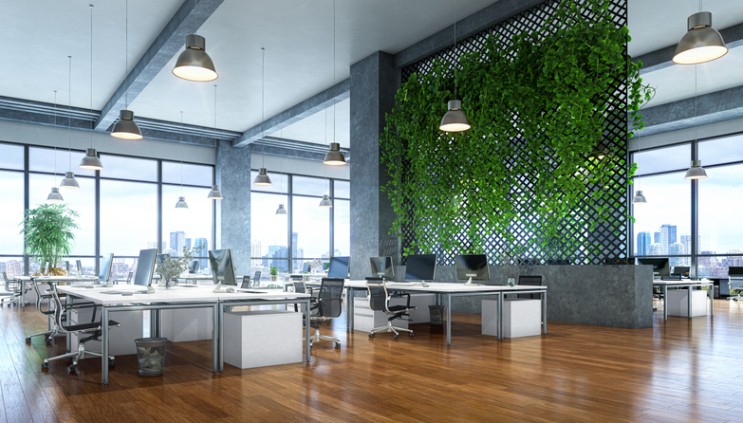 Modern office with open layout, green wall feature, large windows in Atlanta, GA